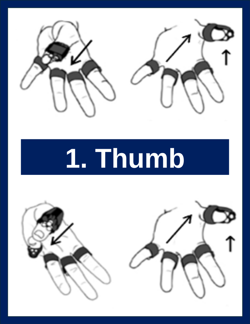 Thumb Stretch FingerWeights exercise illustration