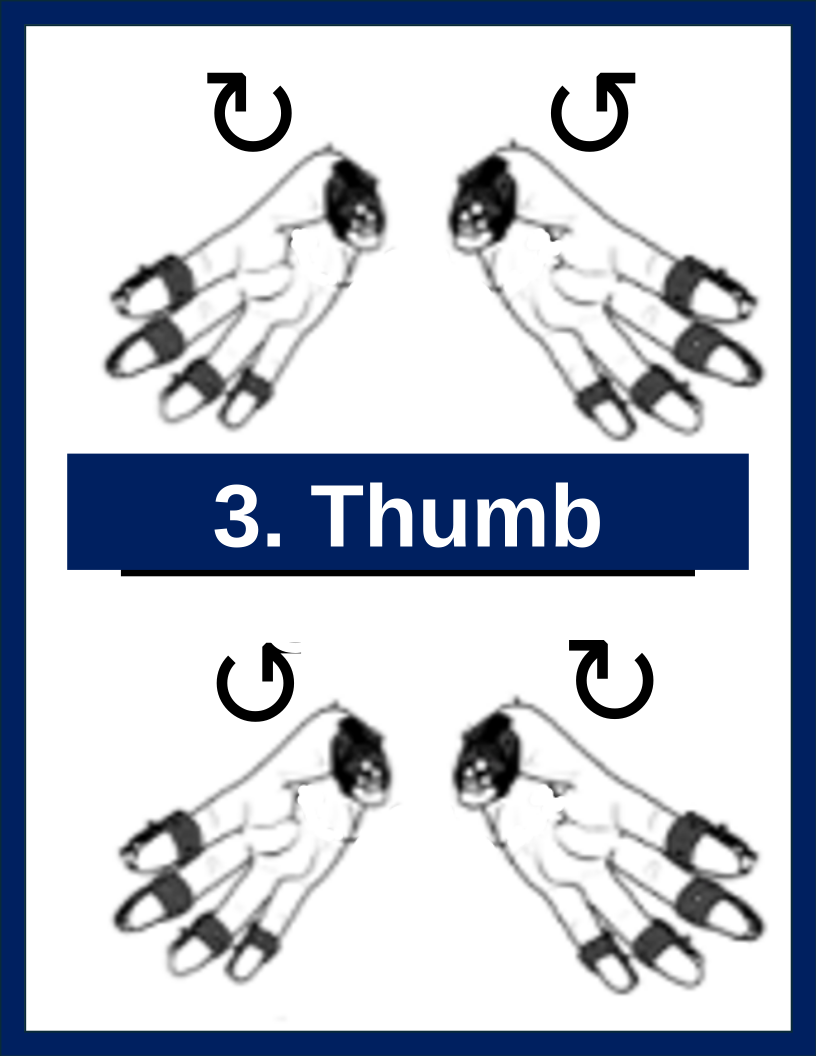 Thumb Circles FingerWeights exercise illustration
